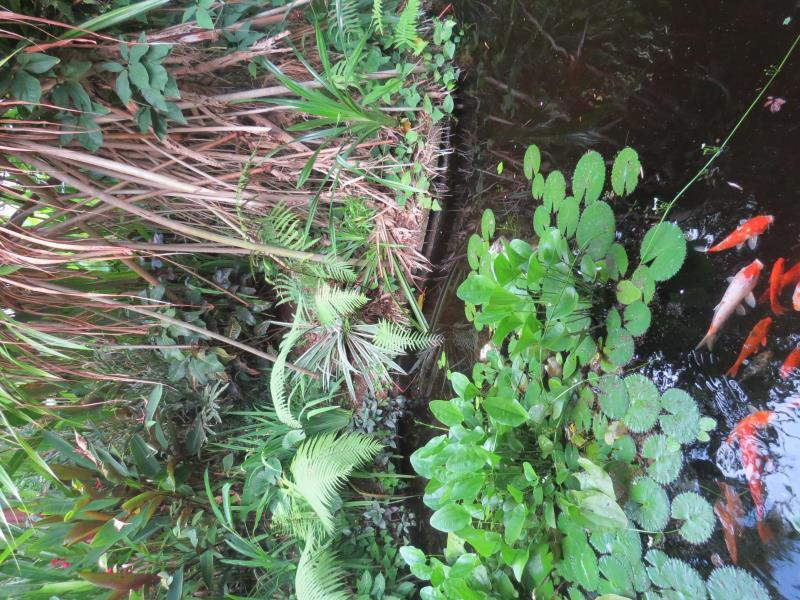 The Watergarden — фото 6