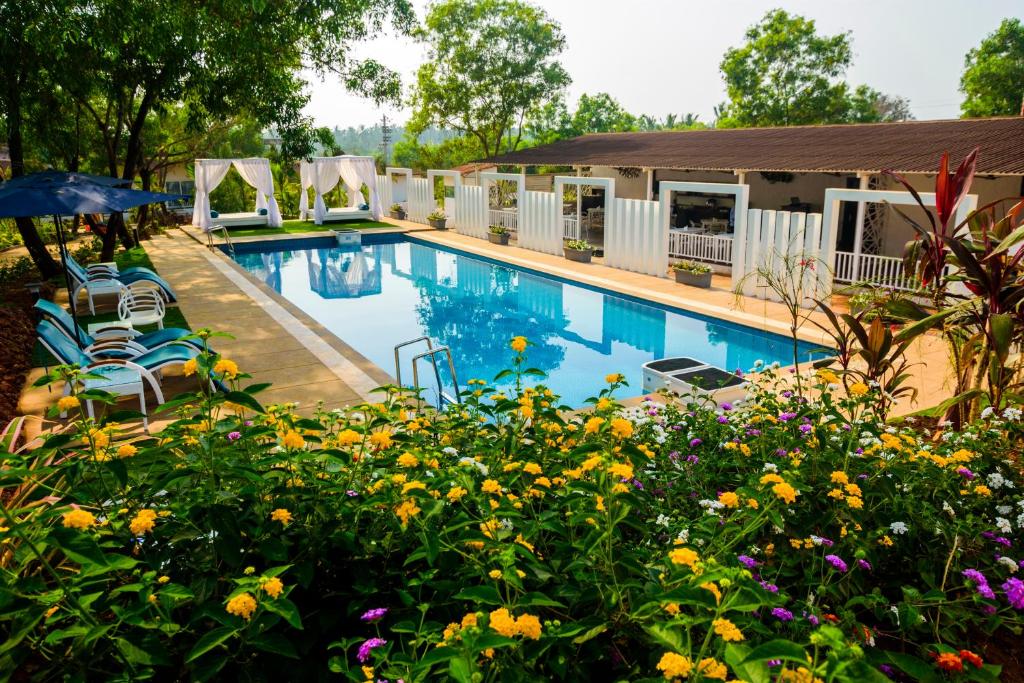 White Woods Resort & Spa