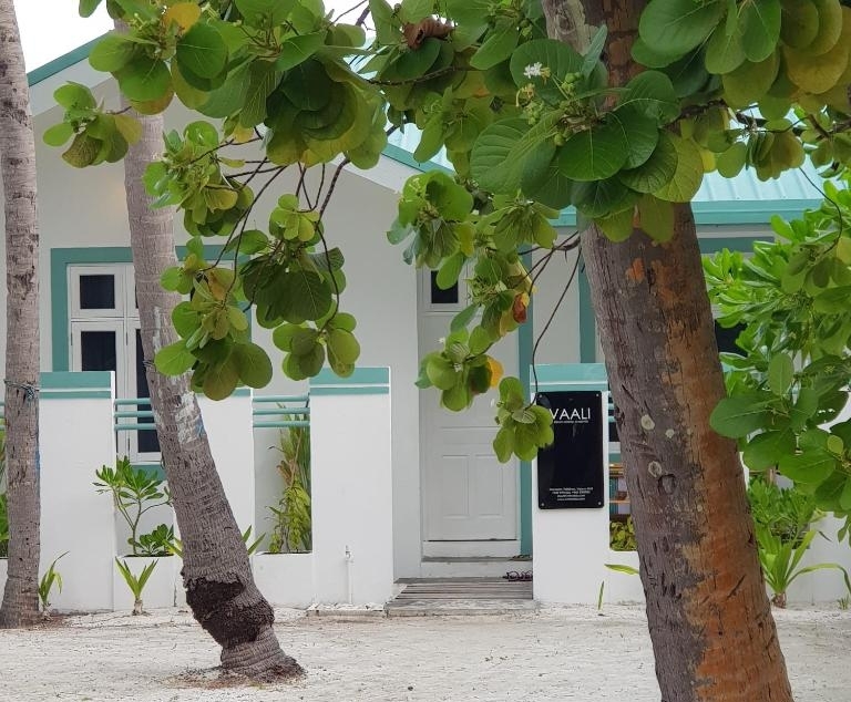 Vaali Island Escapes & Dive — фото 2