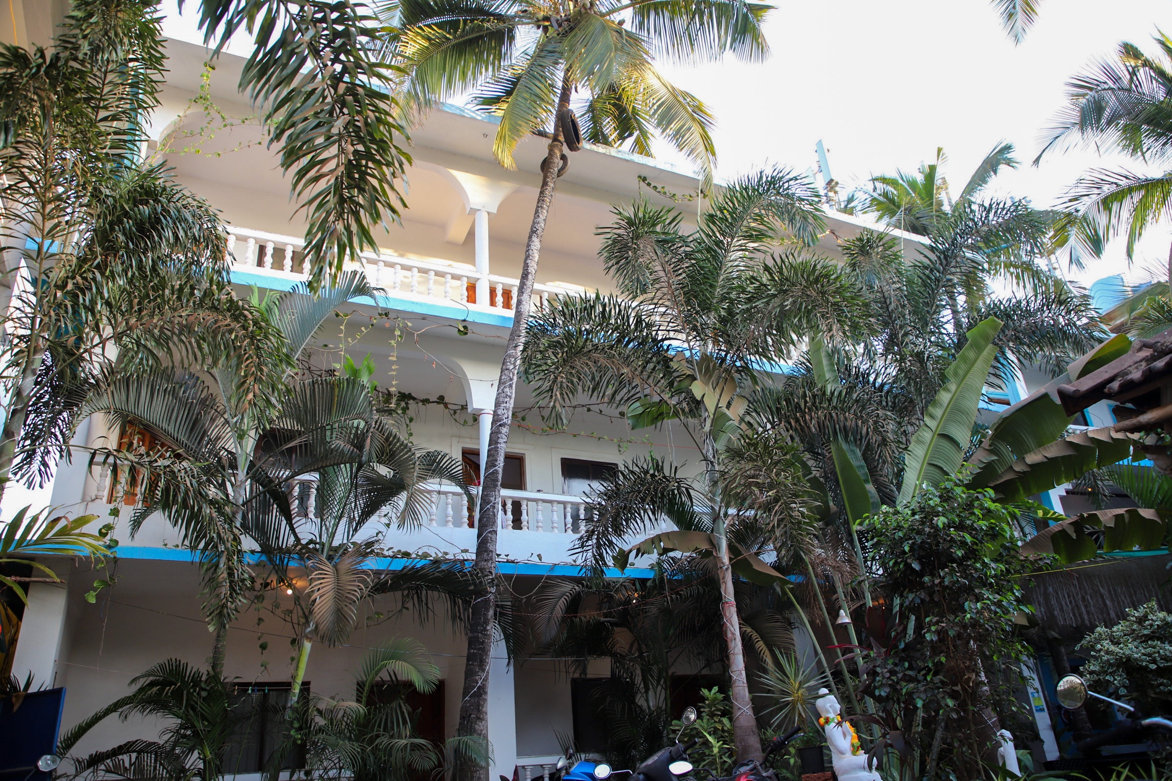Midguard Sea View
