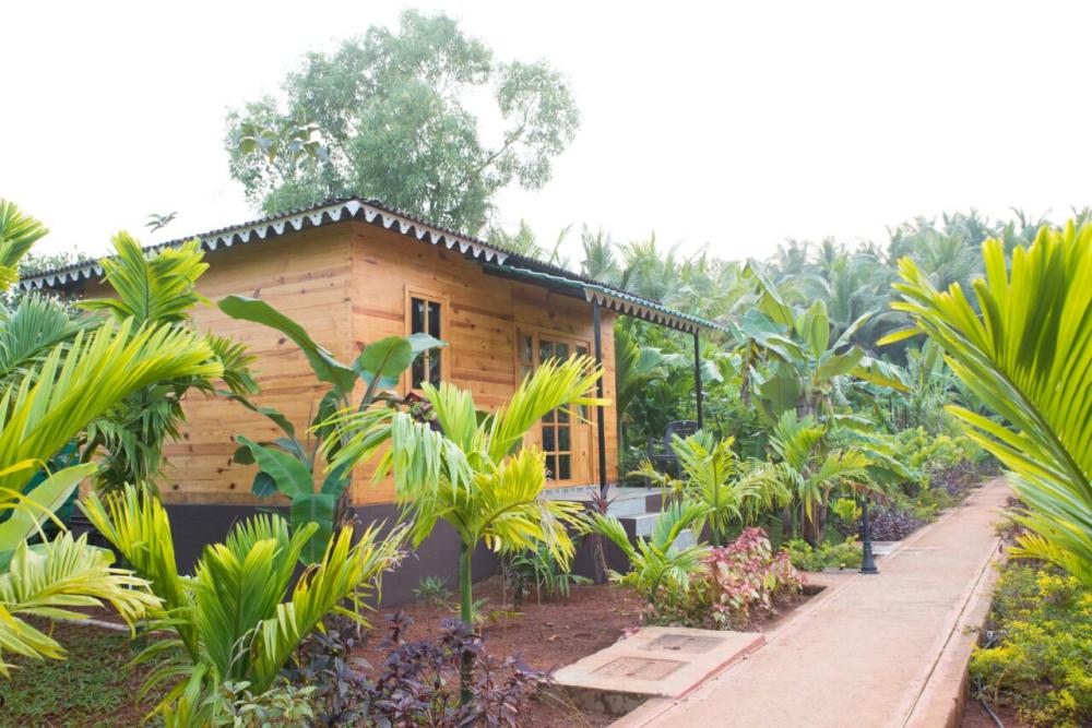 Go Green Spice & Eco Resorts — фото 2