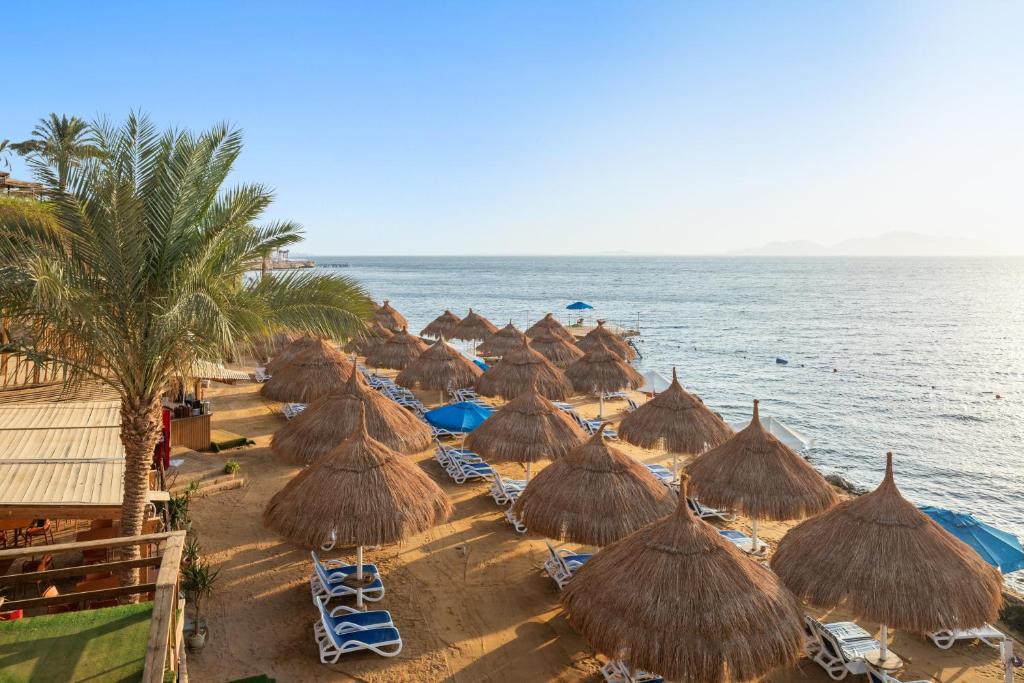 Pickalbatros Luxury Suites (ex. Rixos Golf Sharm El Sheikh) — фото 6