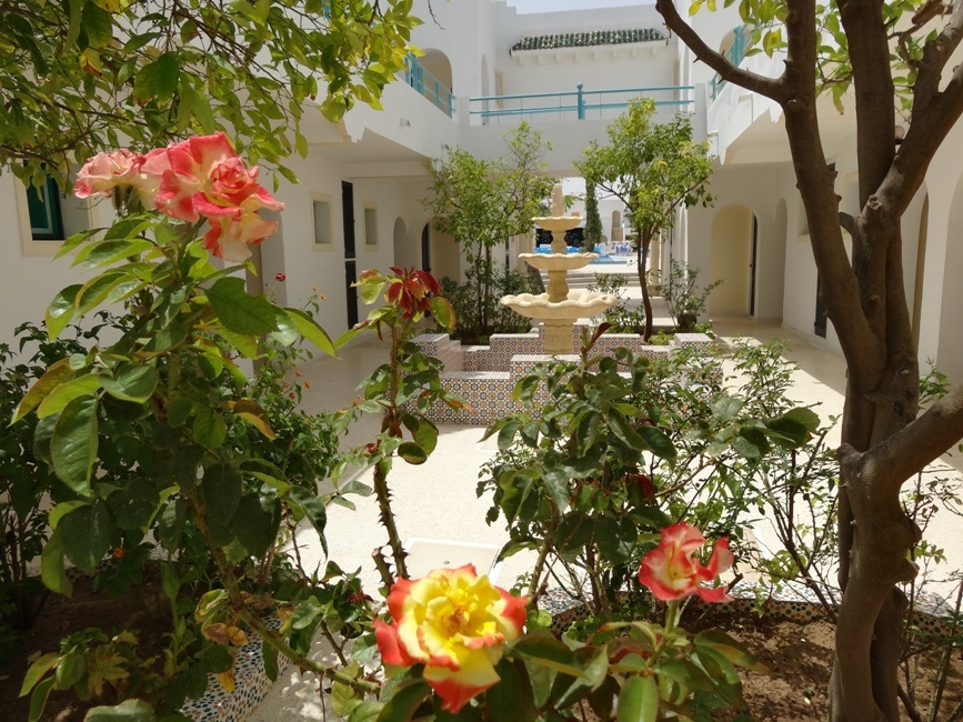 My Hotel Garden Beach — фото 3