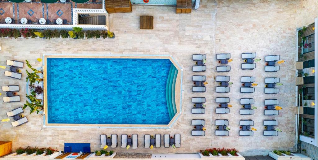 Rose Garden Premium Hotel (ex. Larissa Mare Beach) — фото 6