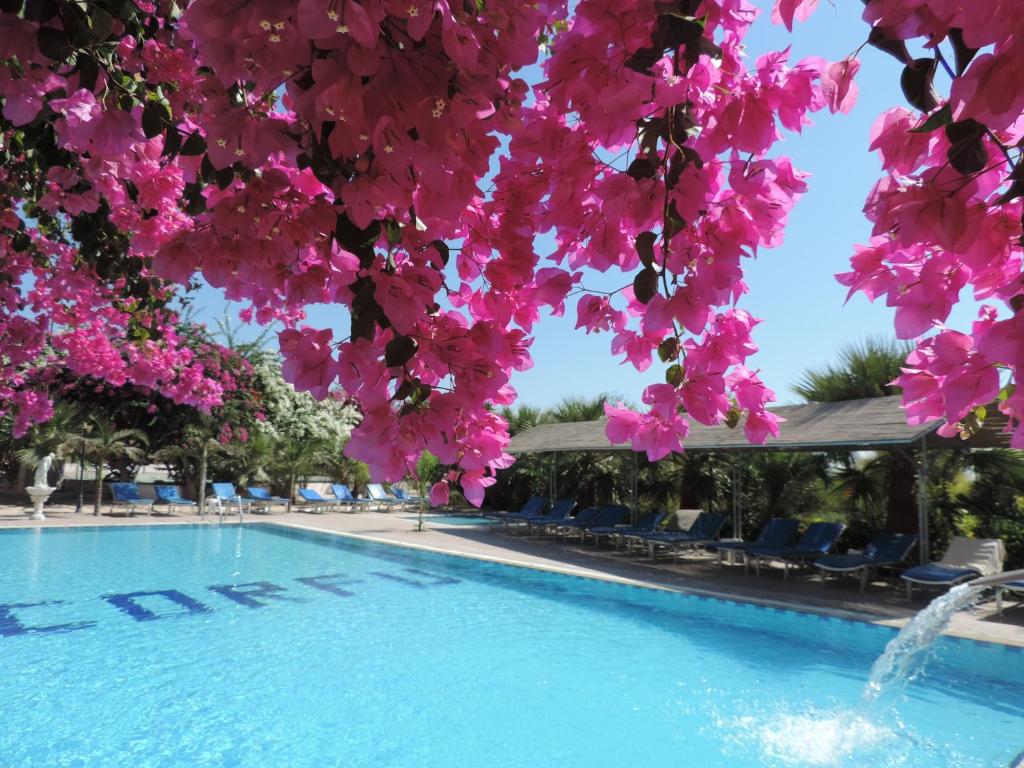 Corfu Hotel — фото 6