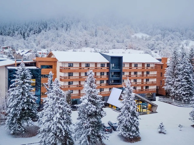 Бакуриани (Bakuriani Inn)